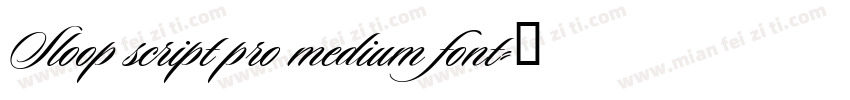 Sloop script pro medium font字体转换